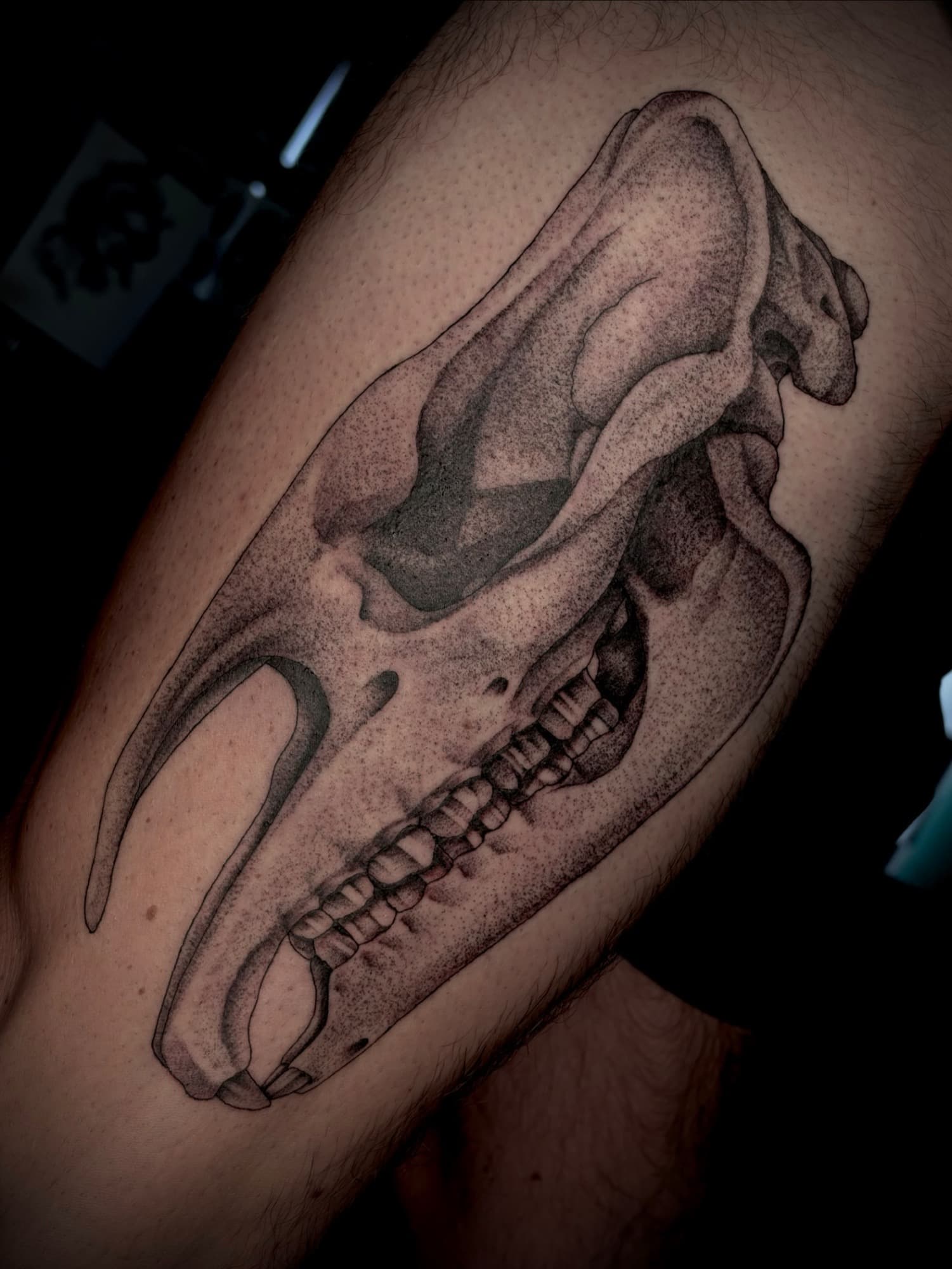 Tattoo by this artist, 2 of 8