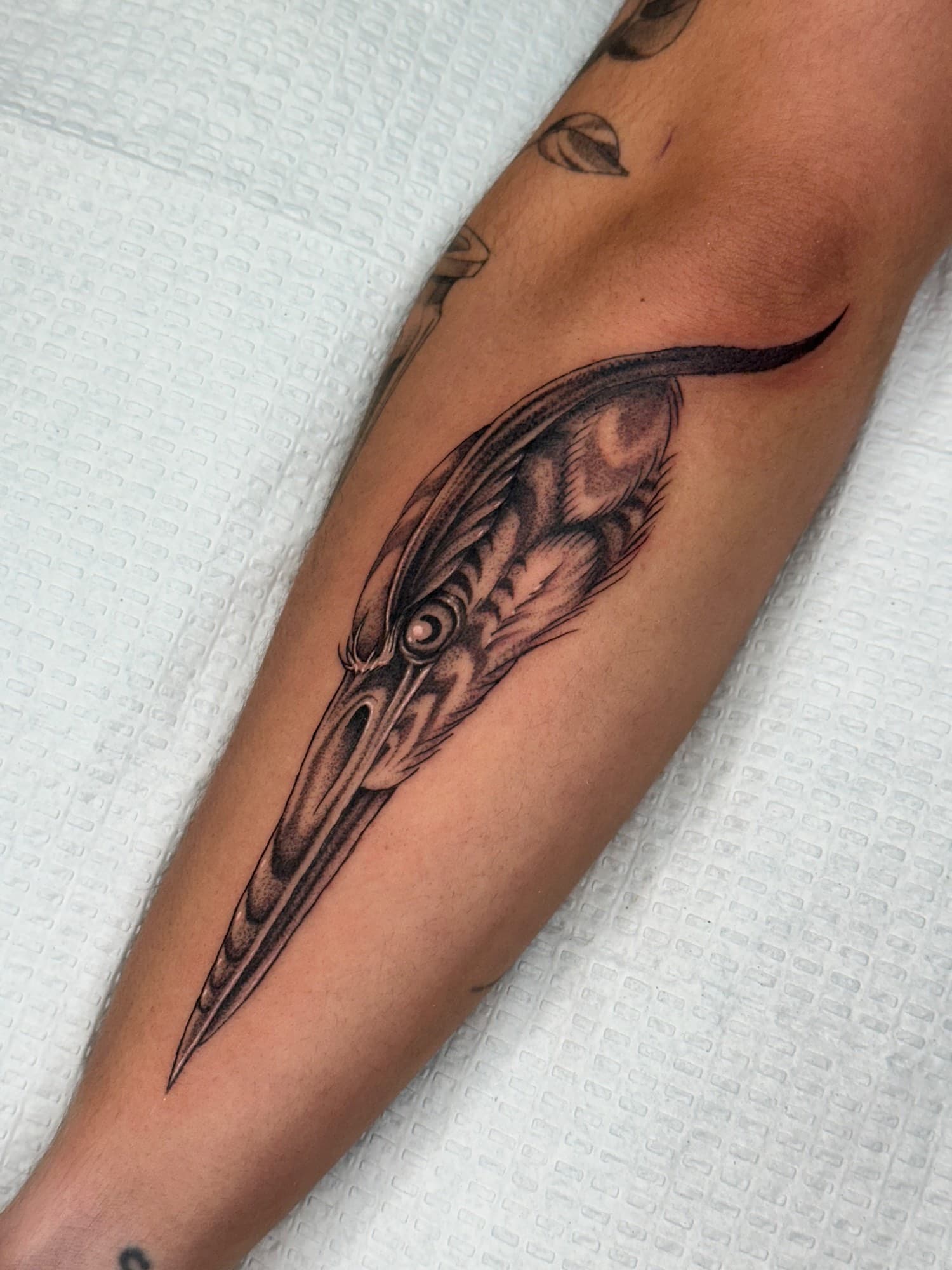 Tattoo by this artist, 5 of 8